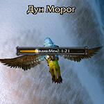 Flight Map